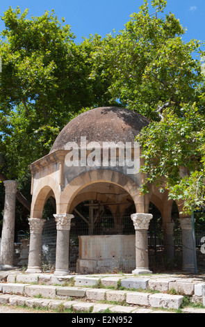 L'arbre d'Hippocrate à l'île de Kos en Grèce Banque D'Images