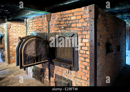 Pologne, Auschwitz, camp de concentration Banque D'Images