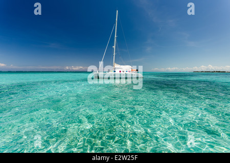 Flotteurs en catamaran dans les eaux tropicales des Caraïbes claire aux beaux jours Banque D'Images