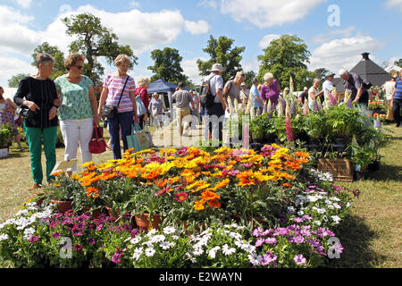 Blenheim Palace, Oxfordshire, UK. 21 Juin, 2014. Les visiteurs du salon floral de Blenheim dans l'Oxfordshire le soleil brille. Credit : Ric Mellis/Alamy Live News Banque D'Images