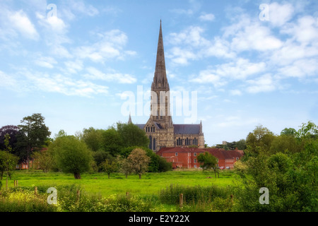 La cathédrale de Salisbury, Salisbury, Wiltshire, Angleterre, Royaume-Uni Banque D'Images