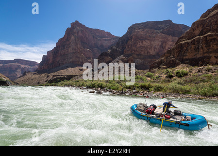 Chutes de lave de rafting sur le fleuve Colorado dans le Grand Canyon, Arizona. Banque D'Images