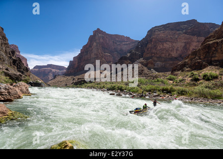 Chutes de lave de rafting sur le fleuve Colorado dans le Grand Canyon, Arizona. Banque D'Images