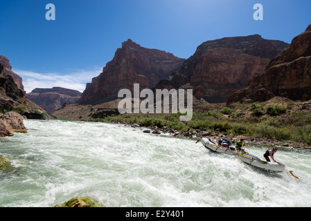 Chutes de lave de rafting sur le fleuve Colorado dans le Grand Canyon, Arizona. Banque D'Images