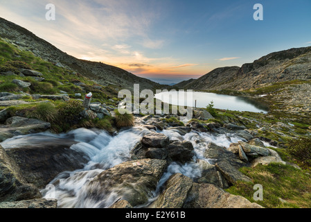 Première lumière chaude herbe rayonnante, les lacs et les étangs (en raison de l'ancienne morfphology glacier) à haute altitude dans les Alpes italiennes. Banque D'Images