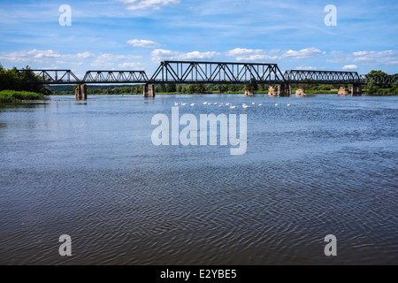 Pont de chemin de fer abandonnées dans Bienenwerder près de l'Oder, Brandenburg, Allemagne Banque D'Images