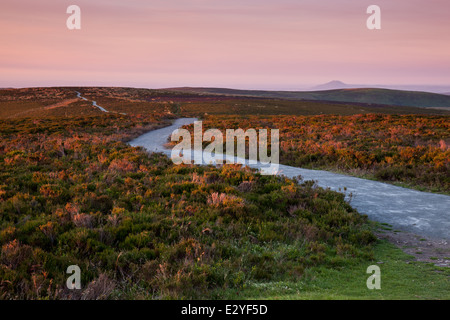 Le Shropshire voie le long du haut Long Mynd, Shropshire, sur une soirée d'été avec le Wrekin dans la distance, England, UK Banque D'Images