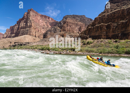 Chutes de lave de rafting sur le fleuve Colorado dans le Grand Canyon, Arizona. Banque D'Images