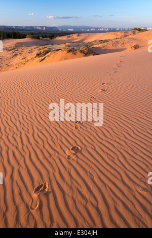Des empreintes de pieds nus dans le sable, dunes Moquith Mountain Wilderness Zone d'étude dans le sud de l'Utah. Banque D'Images
