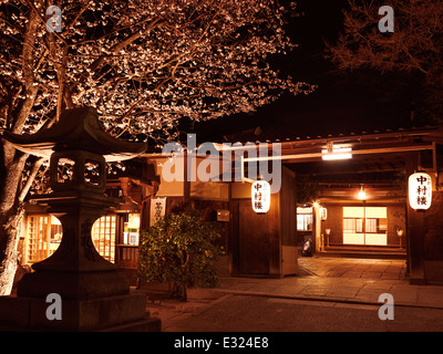 Entrée du restaurant japonais avec cherry blossom la nuit dans Gion, Kyoto, Japon 2014 Banque D'Images