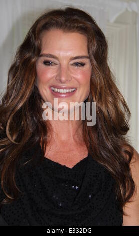 Brooke Shields célèbre sa couverture de 'Hamptons Magazine' au Social Club de Southampton avec : Brooke Shields Où : Southampton, NEW YORK, United States Quand : 25 mai 2013 Banque D'Images