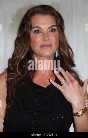 Brooke Shields célèbre sa couverture de 'Hamptons Magazine' au Social Club de Southampton avec : Brooke Shields Où : Southampton, NEW YORK, United States Quand : 25 mai 2013 Banque D'Images