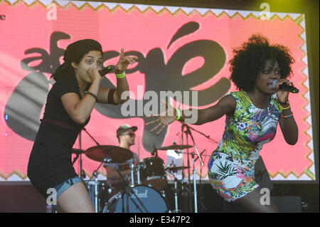 Festival 2014 Oye l'Afrique. Samedi 21 & dimanche 22 juin 2014. Champ d'examen, Sefton Park, Liverpool, Angleterre, Royaume-Uni. WARA (CUBA/UK) Banque D'Images