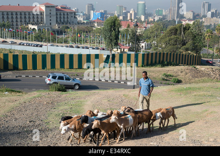 Sur les toits de la ville avec l'hôtel Sheraton. Addis Abeba. L'Éthiopie. Banque D'Images