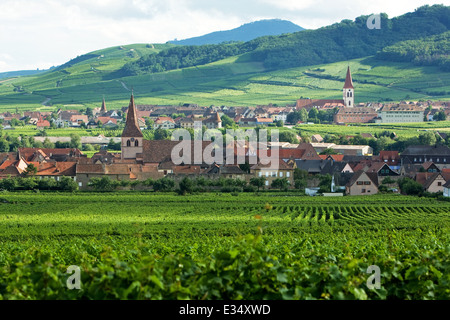 Le long de la Route du vin en France Banque D'Images