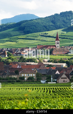 Le long de la Route du vin en France Banque D'Images