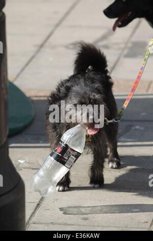 Comme la canicule se poursuit dans le sud est du pays, certains membres du public de découvrir le beau temps, en visitant les villes côtières de Littlehampton et Worthing, West Sussex, où : Worthing, Royaume-Uni Quand : 18 Oct 201 Banque D'Images