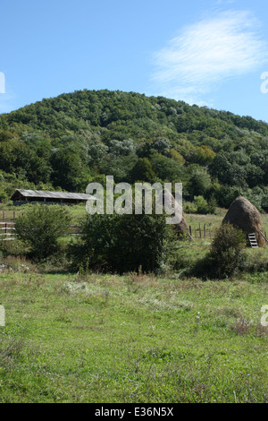 Bergerie traditionnelle roumaine dans un paysage verdoyant. Banque D'Images