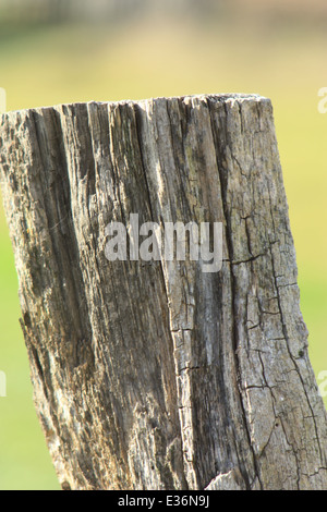 Clôture en bois fissuré, campagne pôle Banque D'Images