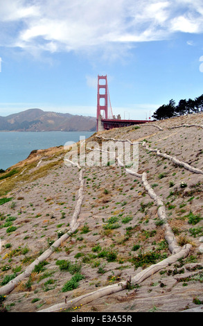 Contrôle de l'érosion des sols waddles de paille sur une colline donnant sur le golden gate bridge Banque D'Images