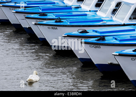 Louer des bateaux amarrés sur les Norfolk Broads. Banque D'Images