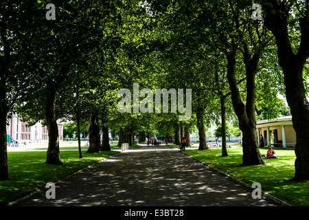 La lumière du soleil pommelé le long d'une avenue de platanes dans les motifs de l'Old Royal Naval College de Greenwich. Banque D'Images