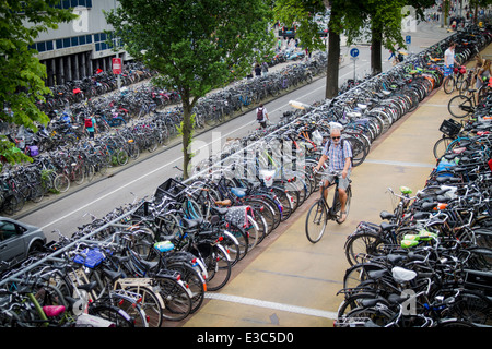 Des centaines de vélos à un parking à vélo à la gare centrale d'Amsterdam aux Pays-Bas vélos vélo gratuit Banque D'Images