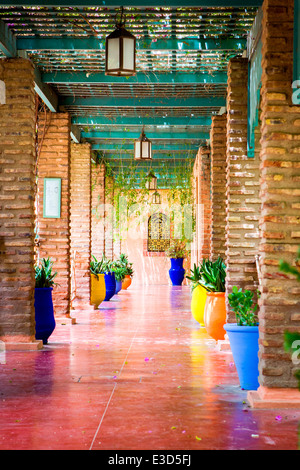 Les magnifiques jardins Majorelle restauré avec soin par Yves Saint-Laurent à Marrakech, Maroc, Afrique du Nord. Banque D'Images