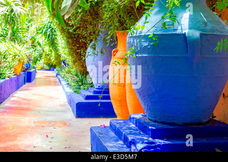 Les magnifiques jardins Majorelle restauré avec soin par Yves Saint-Laurent à Marrakech, Maroc, Afrique du Nord. Banque D'Images