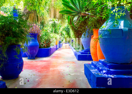 Les magnifiques jardins Majorelle restauré avec soin par Yves Saint-Laurent à Marrakech, Maroc, Afrique du Nord. Banque D'Images