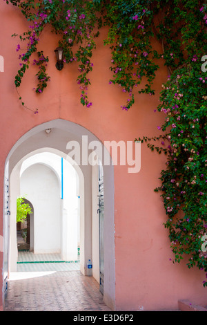 Les parois de bougainvilliers El Palais Bahia à Marrakech, Maroc, Afrique du Nord. Banque D'Images