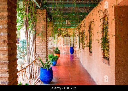 Les magnifiques jardins Majorelle restauré avec soin par Yves Saint-Laurent à Marrakech, Maroc, Afrique du Nord. Banque D'Images