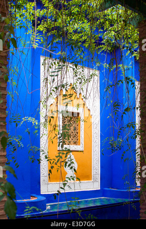 Une fenêtre encadrée de Jasmine dans les magnifiques jardins Majorelle restauré avec soin par Yves Saint-Laurent, à Marrakech, au Maroc. Banque D'Images