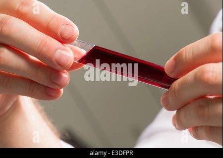 Laboratoire, la science, la Science, Recherche, Santé et médecine Banque D'Images