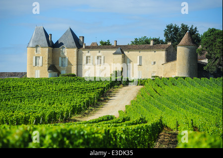 Vignoble et château d'Yquem, Sauternes, région Aquitaine, France Banque D'Images