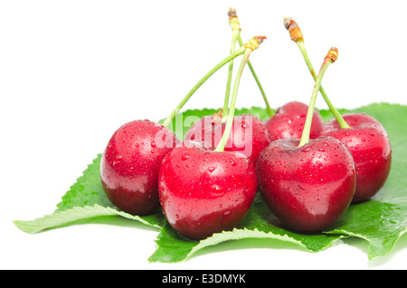 baies de cerises fraîches avec gouttes d'eau sur une bouteille verte ...