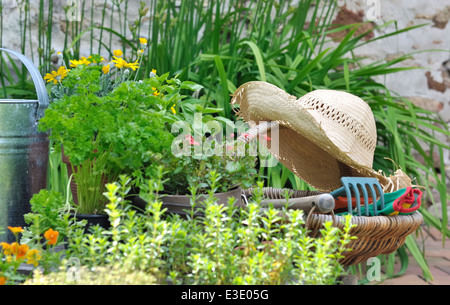 Outils de jardinage dans un panier avec chapeau de paille entre les herbes aromatiques et les fleurs Banque D'Images