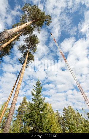 Mât de télécommunications au milieu de la forêt , contenant principalement des antennes de réseau cellulaire , Finlande Banque D'Images