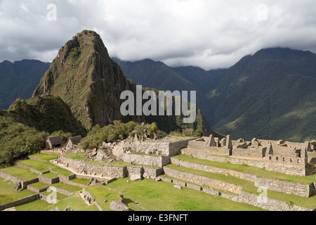 Vue sur montagne Waynapicchu, terrasses et le nord-est de bâtiments de l'Observatoire Astronomique de Machu Picchu, au Pérou. Banque D'Images