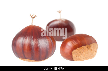 Fruits marrons isolated on white Banque D'Images