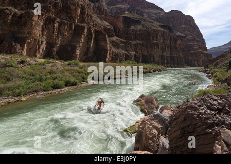 L'exécution de Lava Falls sur la rivière Colorado dans un doris, Grand Canyon, Arizona. Banque D'Images