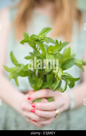 Femme tenant un bouquet de menthe fraîchement cueillis. Banque D'Images