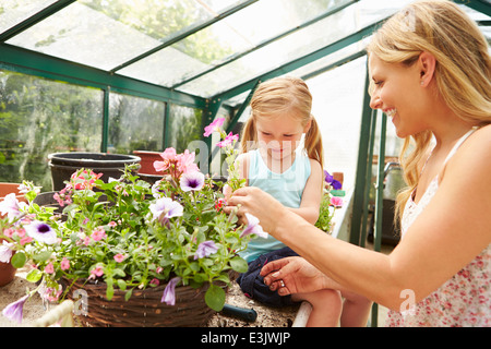 De plus en plus Mère et fille Plants in Greenhouse Banque D'Images