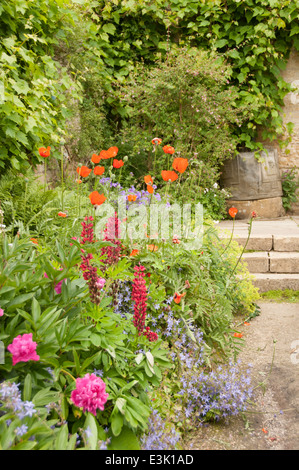 Charmant jardin en fleur. lits de fleurs menant un sentier de gravier à la Chambre. Banque D'Images