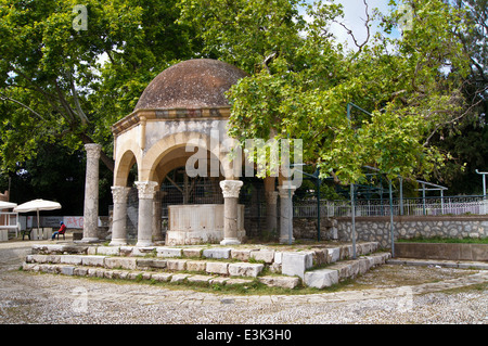 Hippocrate' arbre plan Fontaine, place Lozia, Kos Town, Kos, Grèce Banque D'Images