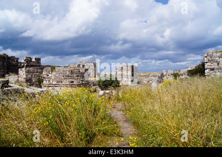 Château des Chevaliers de Saint-Jean, connu sous le nom de Neratzia, Kos Town, Kos, Grèce Banque D'Images