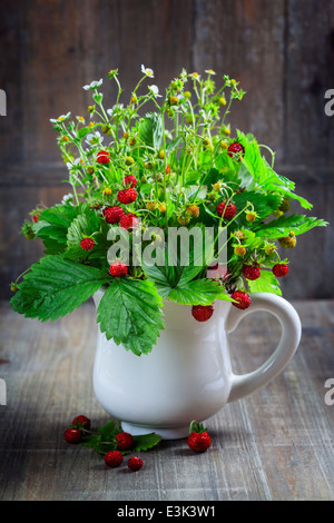 Bouquet de fraise sauvage sur fond de bois Banque D'Images