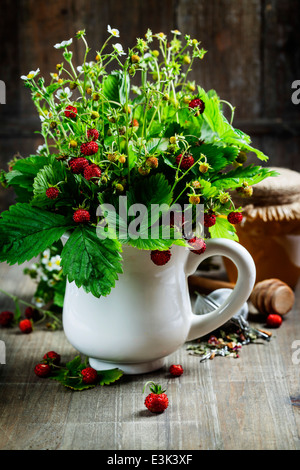 Bouquet de fraise sauvage avec une tisane et miel - alimentation bio concept ou la santé Banque D'Images