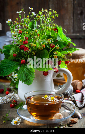 Bouquet de fraise sauvage avec une tisane et miel - alimentation bio concept ou la santé Banque D'Images