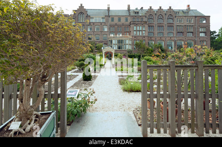 Le Clusius Garden : une reconstruction de Clusius' jardin original où les premières tulipes ont été plantées en 1594 par Carolus Clusius. Banque D'Images